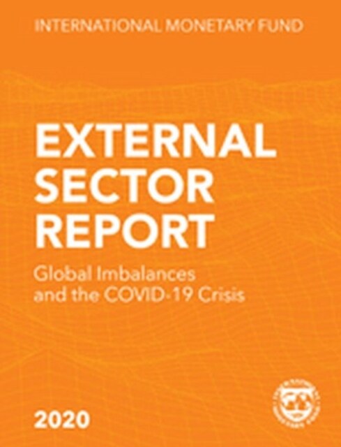 External Sector Report, 2020 (Paperback)