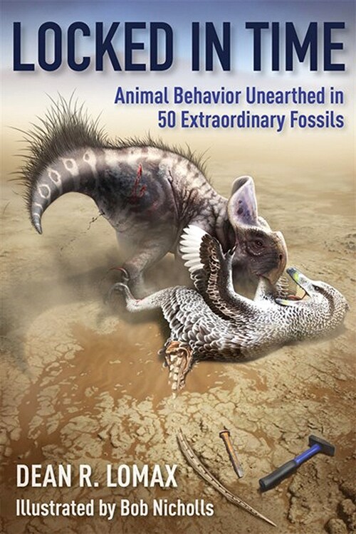 Locked in Time: Animal Behavior Unearthed in 50 Extraordinary Fossils (Hardcover)