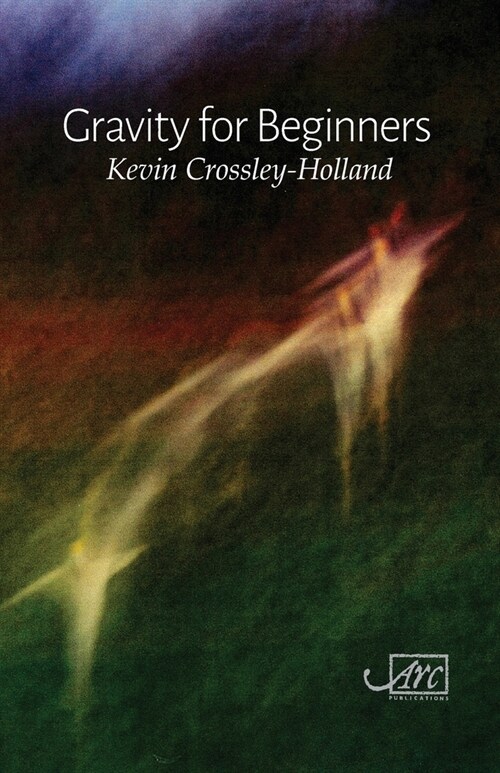 Gravity for Beginners (Paperback)