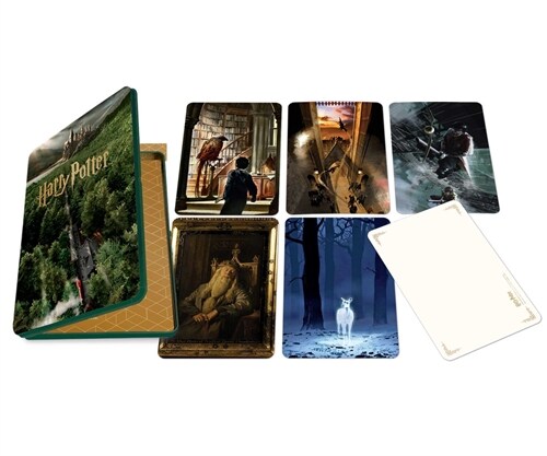 Harry Potter: Hogwarts Concept Art Postcard Tin Set (Novelty)