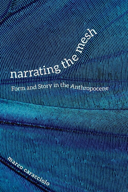 Narrating the Mesh: Form and Story in the Anthropocene (Paperback)