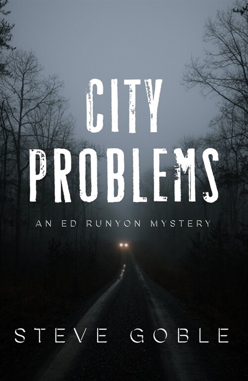 City Problems (Hardcover)