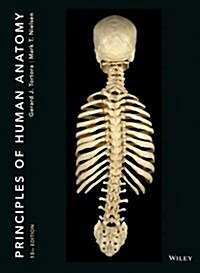 [중고] Principles of Human Anatomy (Hardcover, 13, Revised)
