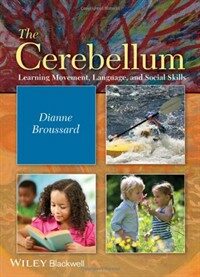 The cerebellum : learning movement, language, and social skills