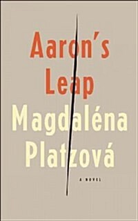Aarons Leap (Paperback)