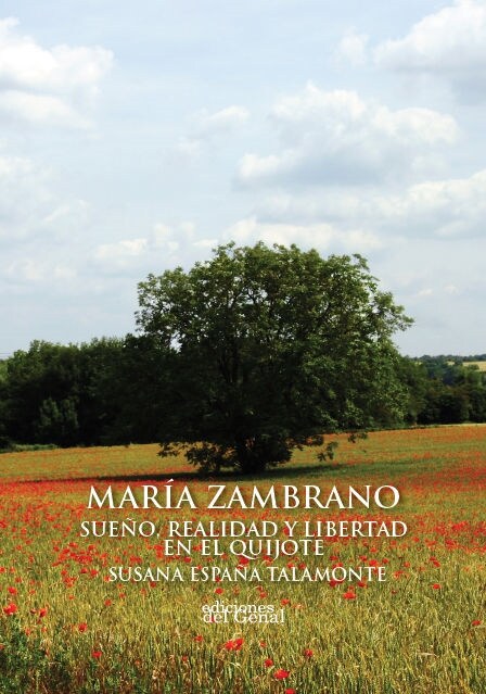 MARIA ZAMBRANO, SUENO Y REALIDAD EN EL QUIJOTE (Paperback)