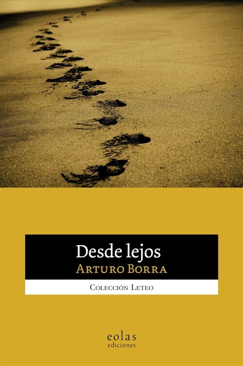 DESDE LEJOS (Paperback)