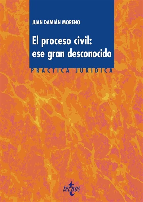 PROCESO CIVIL ESE GRAN DESCONOCIDO,EL (Paperback)