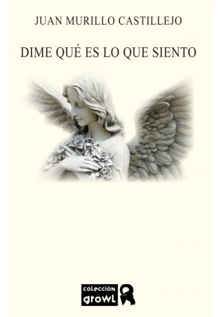 DIME QUE ES LO QUE SIENTO (Book)