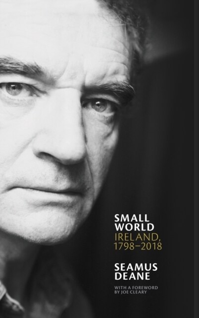 Small World : Ireland, 1798–2018 (Hardcover)
