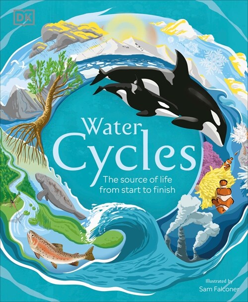 Water Cycles (Hardcover)