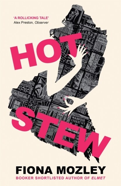 Hot Stew : a riotous novel about sex and money in Soho, from the Booker-shortlisted author of Elmet (Hardcover)