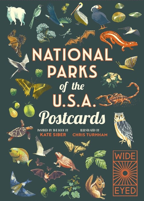 National Parks of the USA Postcards (Postcard Book/Pack)