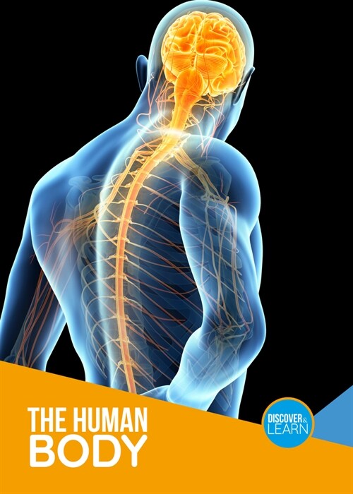 The Human Body (Paperback)