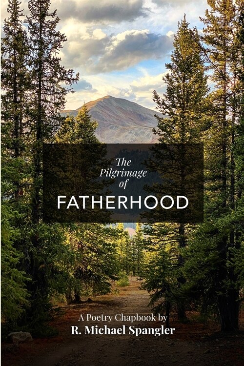 The Pilgrimage of Fatherhood (Paperback)