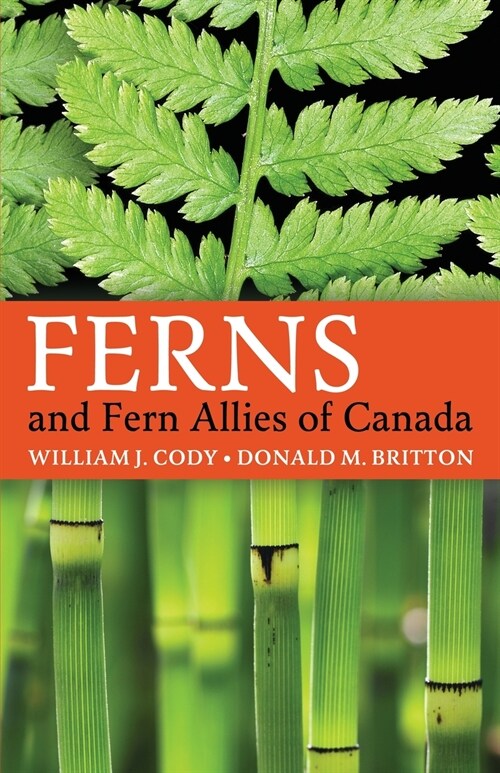 Ferns and Fern Allies of Canada (Paperback)