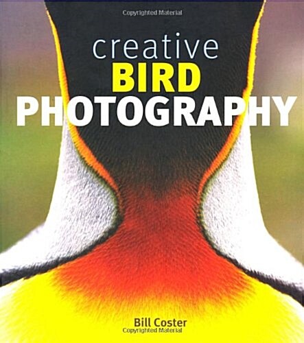 Creative Bird Photography (Paperback)