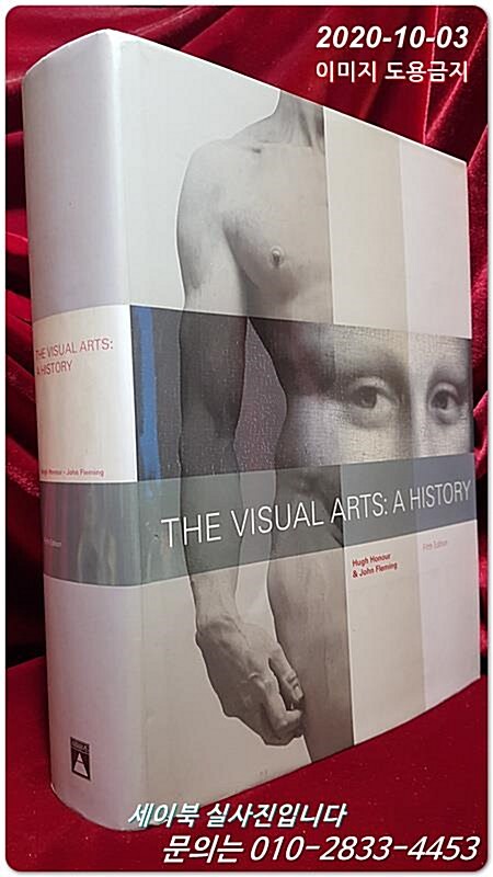 [중고] The Visual Arts: A History (Hardcover, 5th)