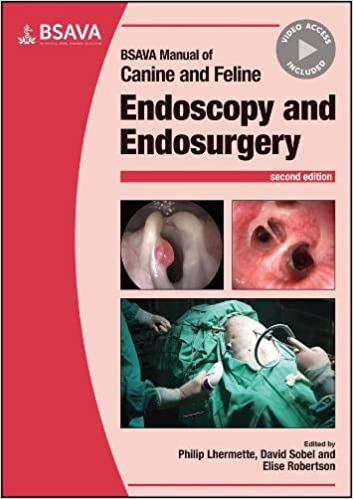 BSAVA Manual of Canine and Feline Endoscopy and Endosurgery (Paperback, 2 ed)