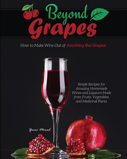 Beyond Grapes: How to Make Wine Out of Anything But Grapes (Paperback)