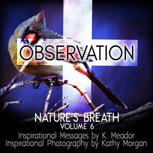 Natures Breath: Observation: Volume 6 (Paperback)