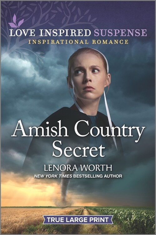 Amish Country Secret (Paperback)