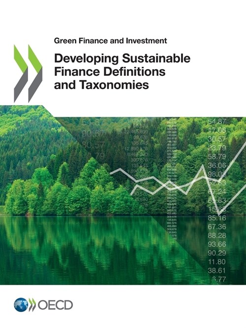 Developing Sustainable Finance Definitions and Taxonomies (Paperback)