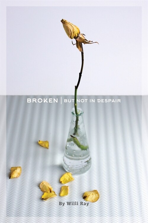 Broken: But Not In Despair (Paperback)