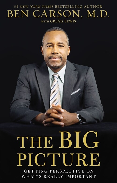 The Big Picture: Getting Perspective on Whats Really Important (Paperback)