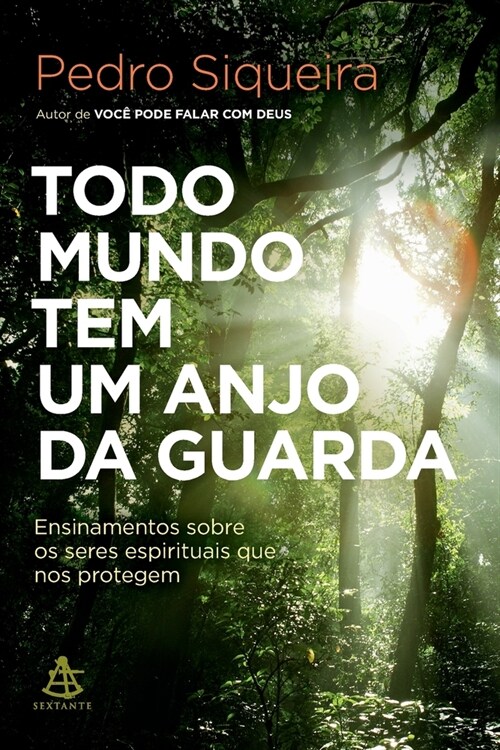 Todo mundo tem um anjo da guarda (Paperback)