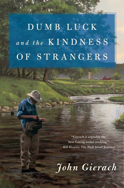 Dumb Luck and the Kindness of Strangers (Paperback)