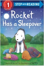 Rocket Has a Sleepover (Paperback)