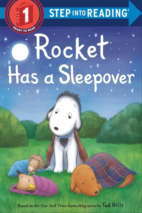 Rocket Has a Sleepover (Paperback)