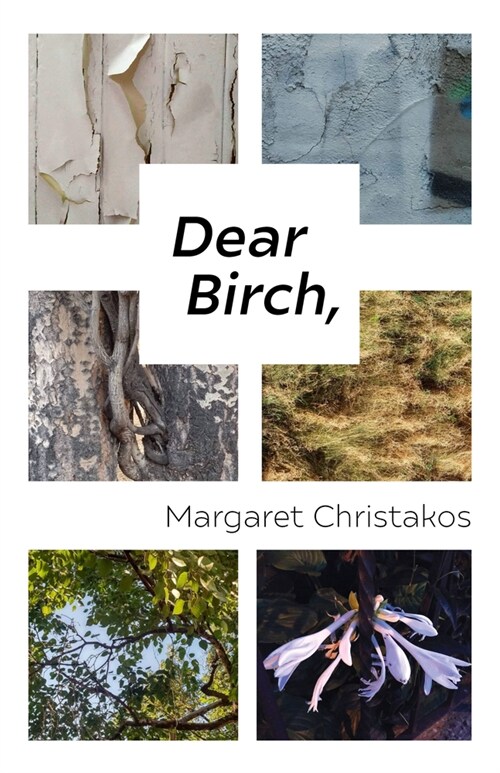 Dear Birch (Paperback)