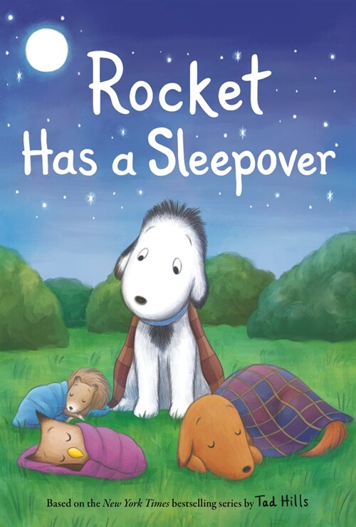 Rocket Has a Sleepover (Hardcover)