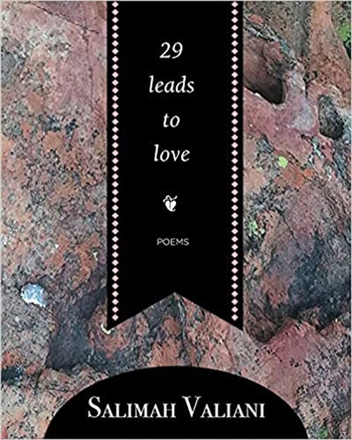 29 Leads to Love (Paperback)