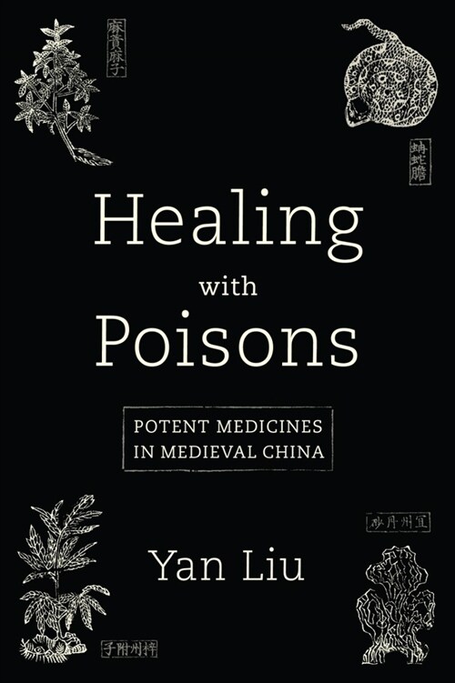 Healing with Poisons: Potent Medicines in Medieval China (Paperback)