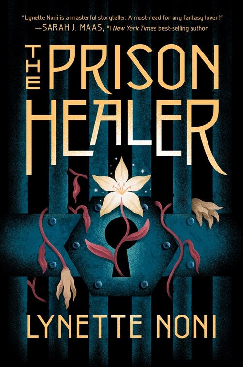 The Prison Healer (Hardcover)