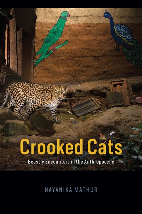 Crooked Cats: Beastly Encounters in the Anthropocene (Paperback)