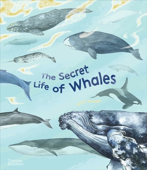 The Secret Life of Whales (Hardcover)