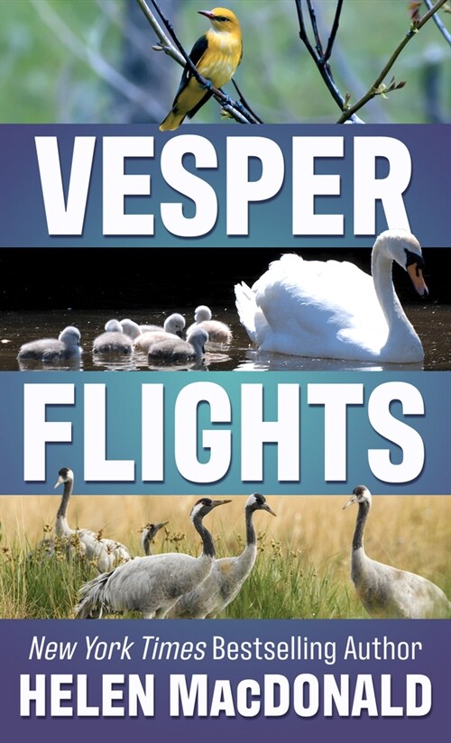 Vesper Flights (Library Binding)