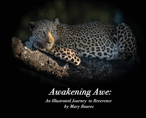 Awakening Awe: An Illustrated Journey to Reverence (Hardcover)