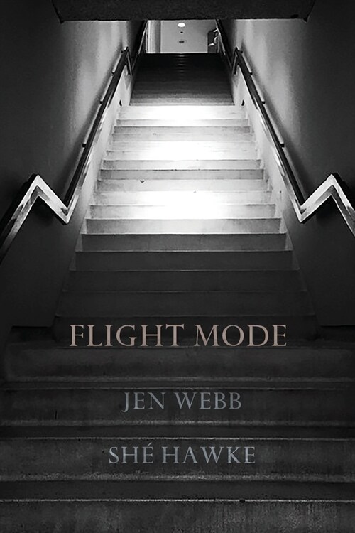 Flight Mode (Paperback)