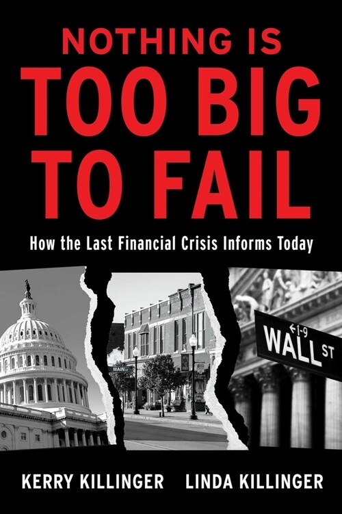 Nothing Is Too Big to Fail: How the Last Financial Crisis Informs Today (Hardcover)