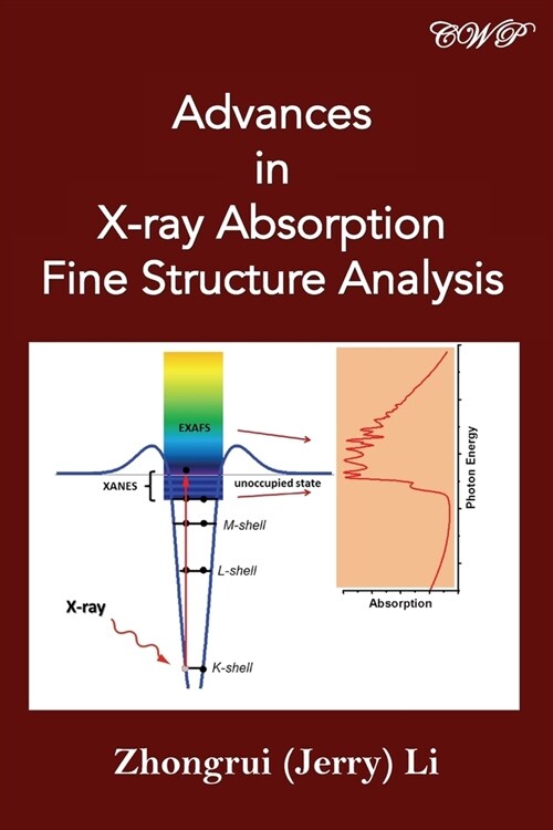 Advances in X-ray Absorption Fine Structure Analysis (Paperback)