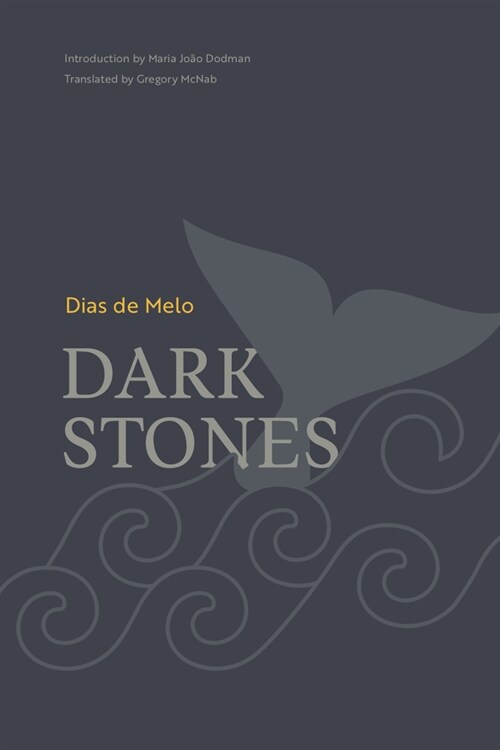 Dark Stones (Paperback)