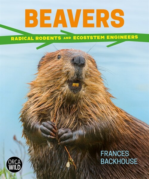 Beavers: Radical Rodents and Ecosystem Engineers (Hardcover)