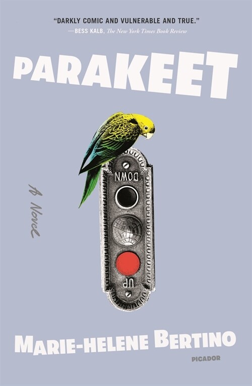 Parakeet (Paperback)