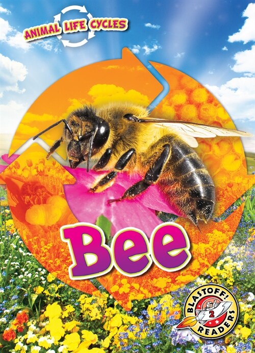Animal Life Cycles: Bee (Library Binding)