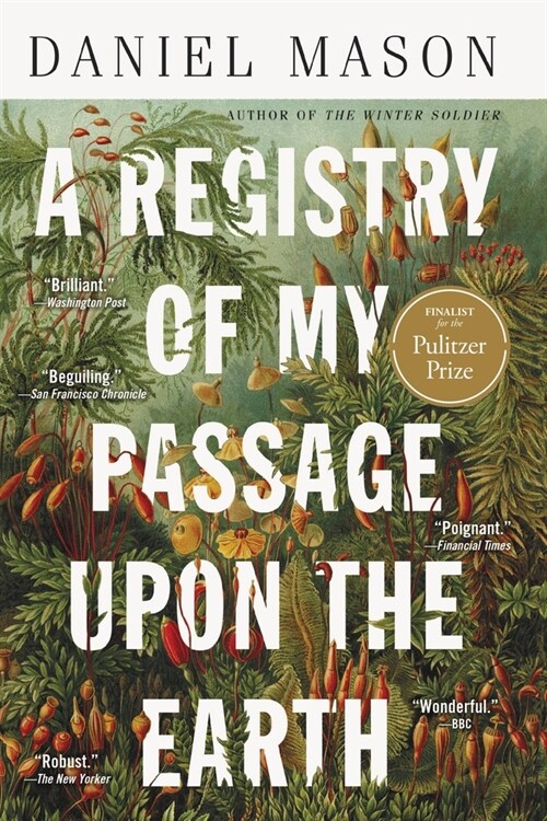 A Registry of My Passage Upon the Earth: Stories (Paperback)